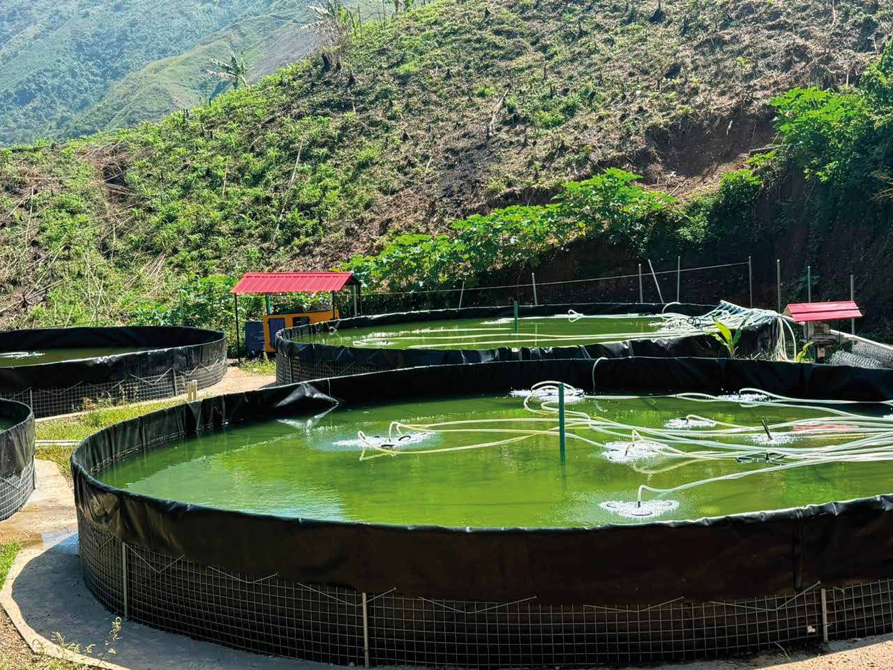 Proyecto de mejoramiento de alumbrado público